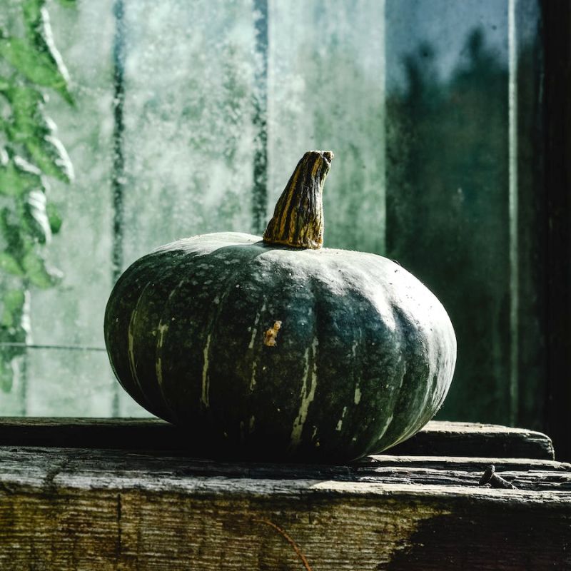 Buttercup Squash!