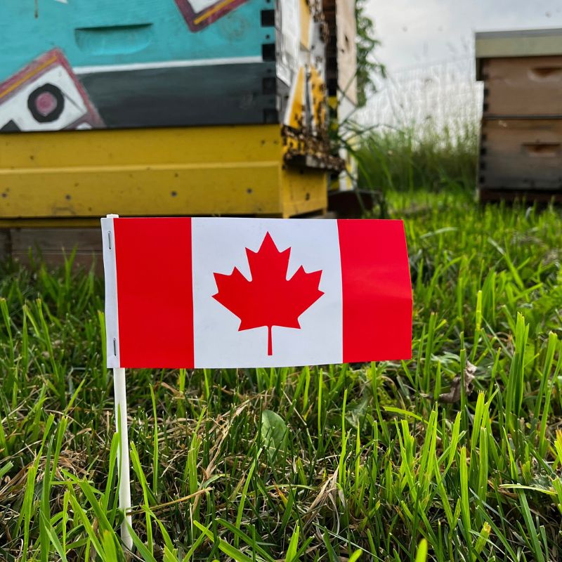 Celebrating local this Long Weekend!