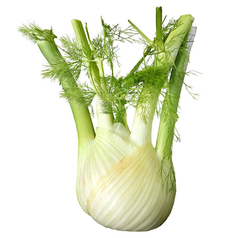 Feast on Fennel!