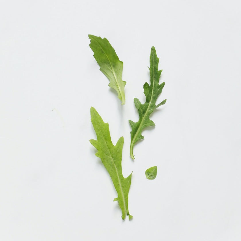 Arugula