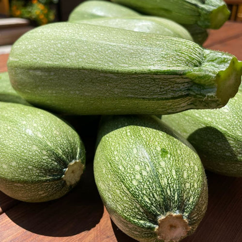 Vegetable Marrow - a misunderstood and delicious addition to your next -  Backed By Bees