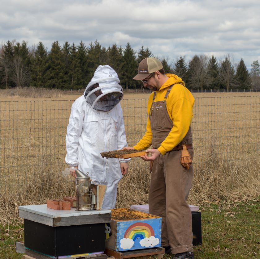 Beekeeping Consult