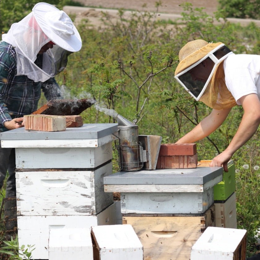 Beekeeper For A Day - Do you have what it takes?