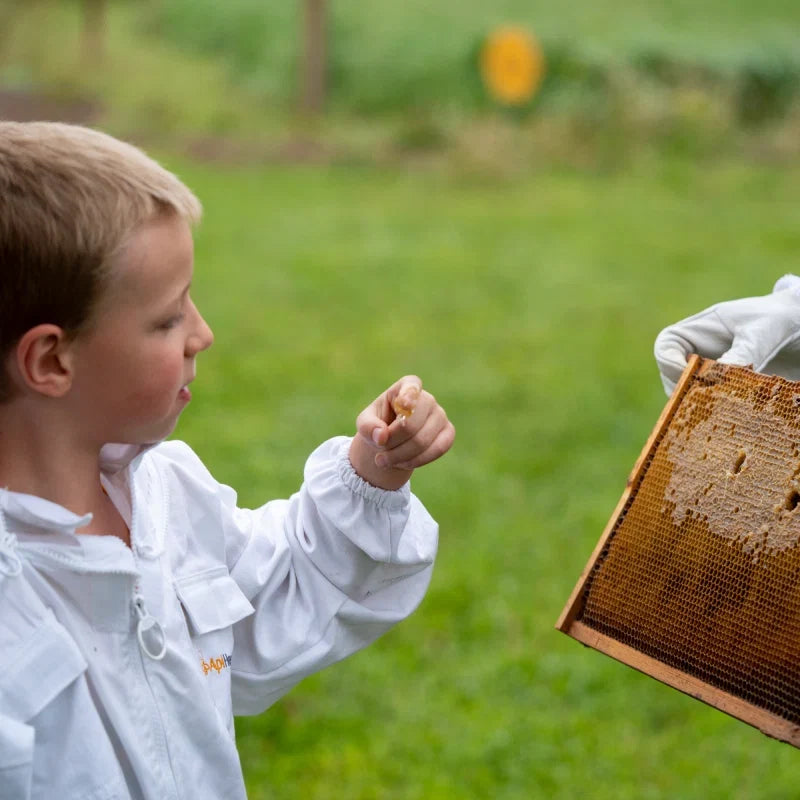 Meet the Honey: A Guided Tasting with Our Beekeeper