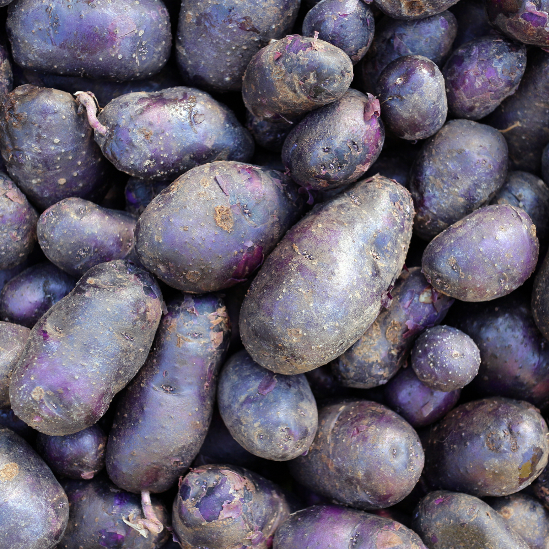 Blue Potatoes: Not Your Average Spud!