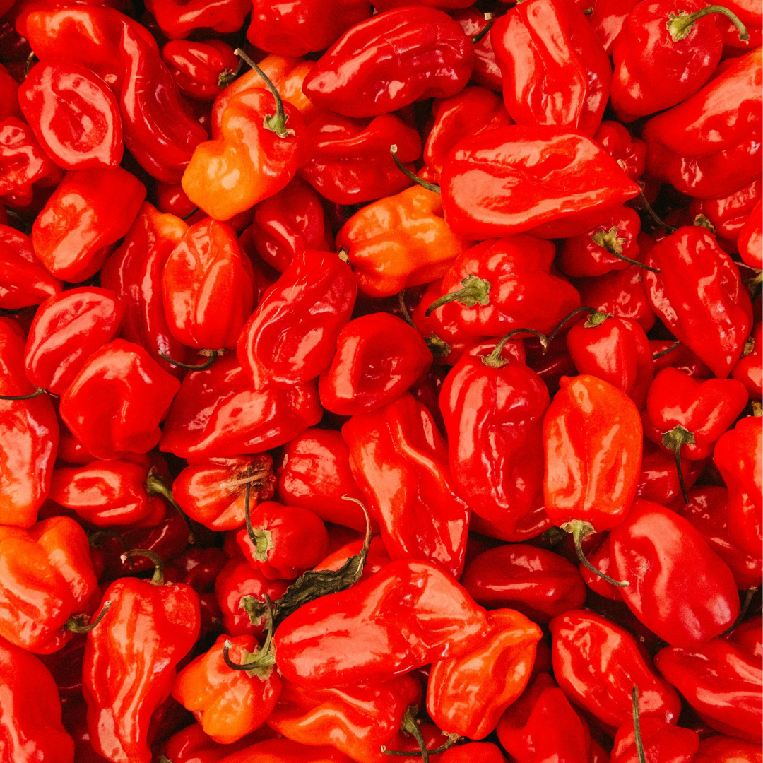 From Local Fields Comes Fiery Flavour! Cooking with Habanero Peppers
