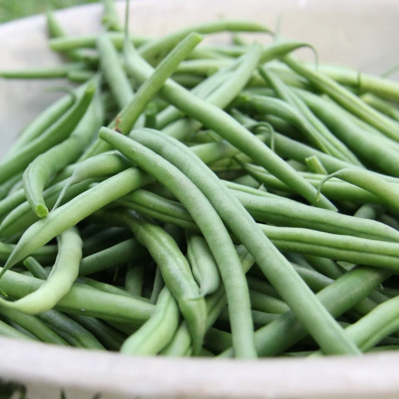 Green Beans every way but plain boiled!
