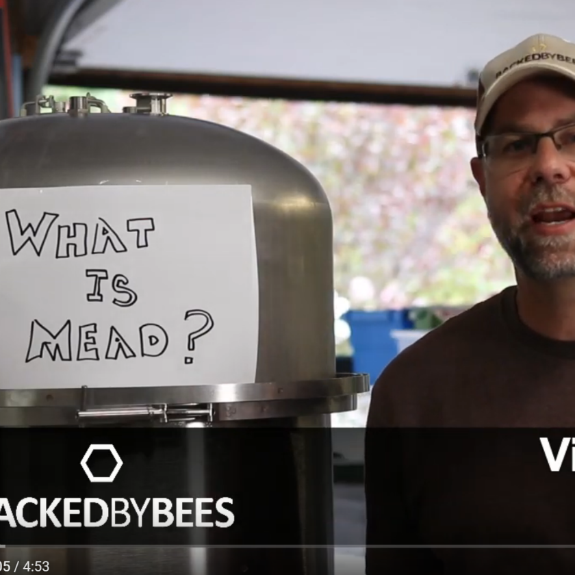 Top Three Mead Questions