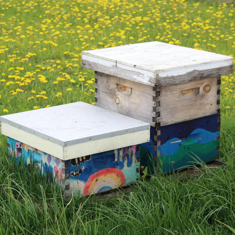 The Hidden Relationships That Make Spring Possible