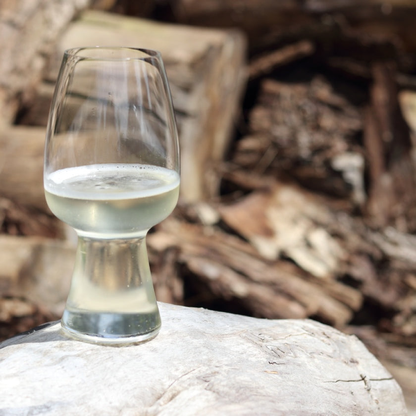 DIY Mead Making: Brew Your Own Honey Wine at Home