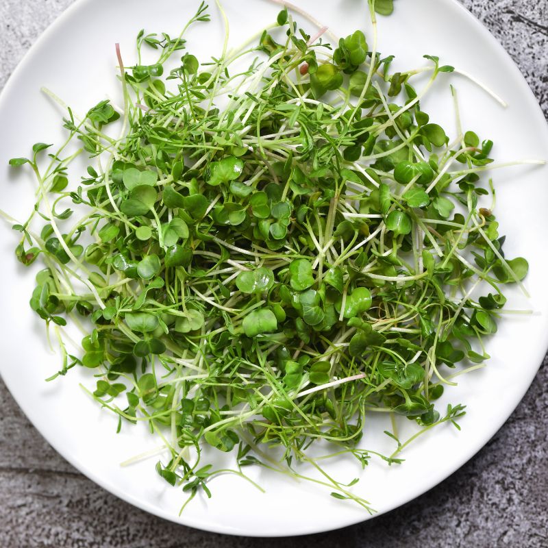 Creative Ways to Enjoy Microgreens!