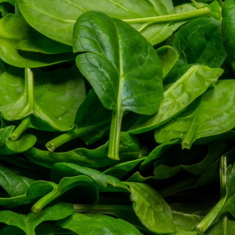 Celebrating Local Spinach!