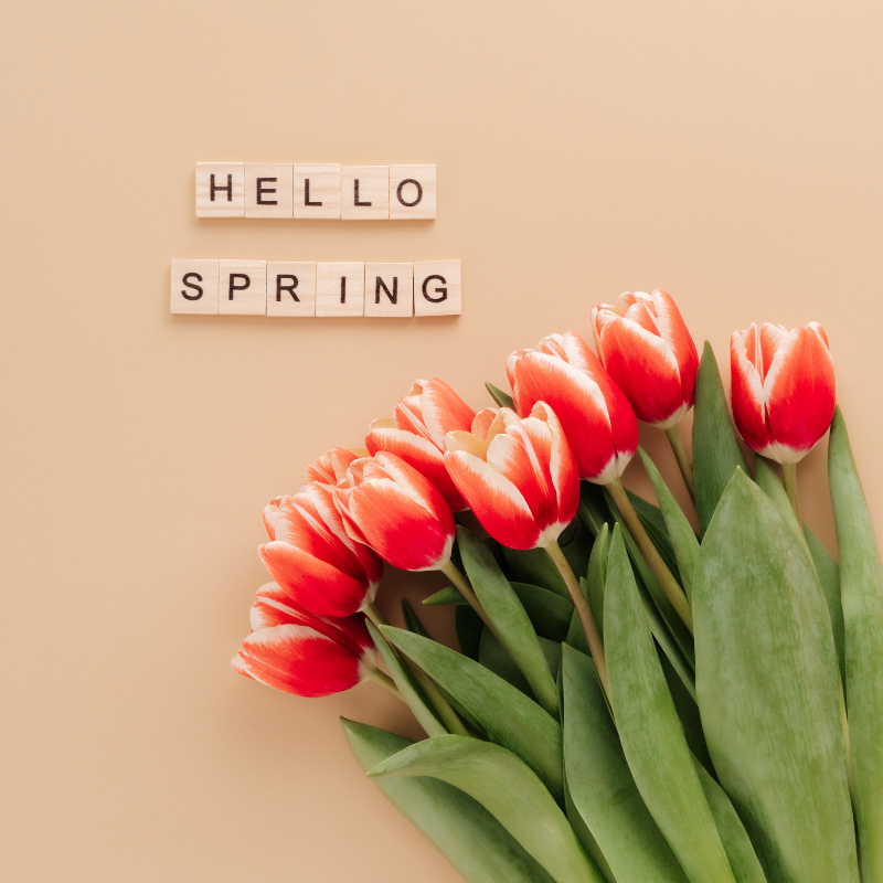 In-Season Spring Recipes!