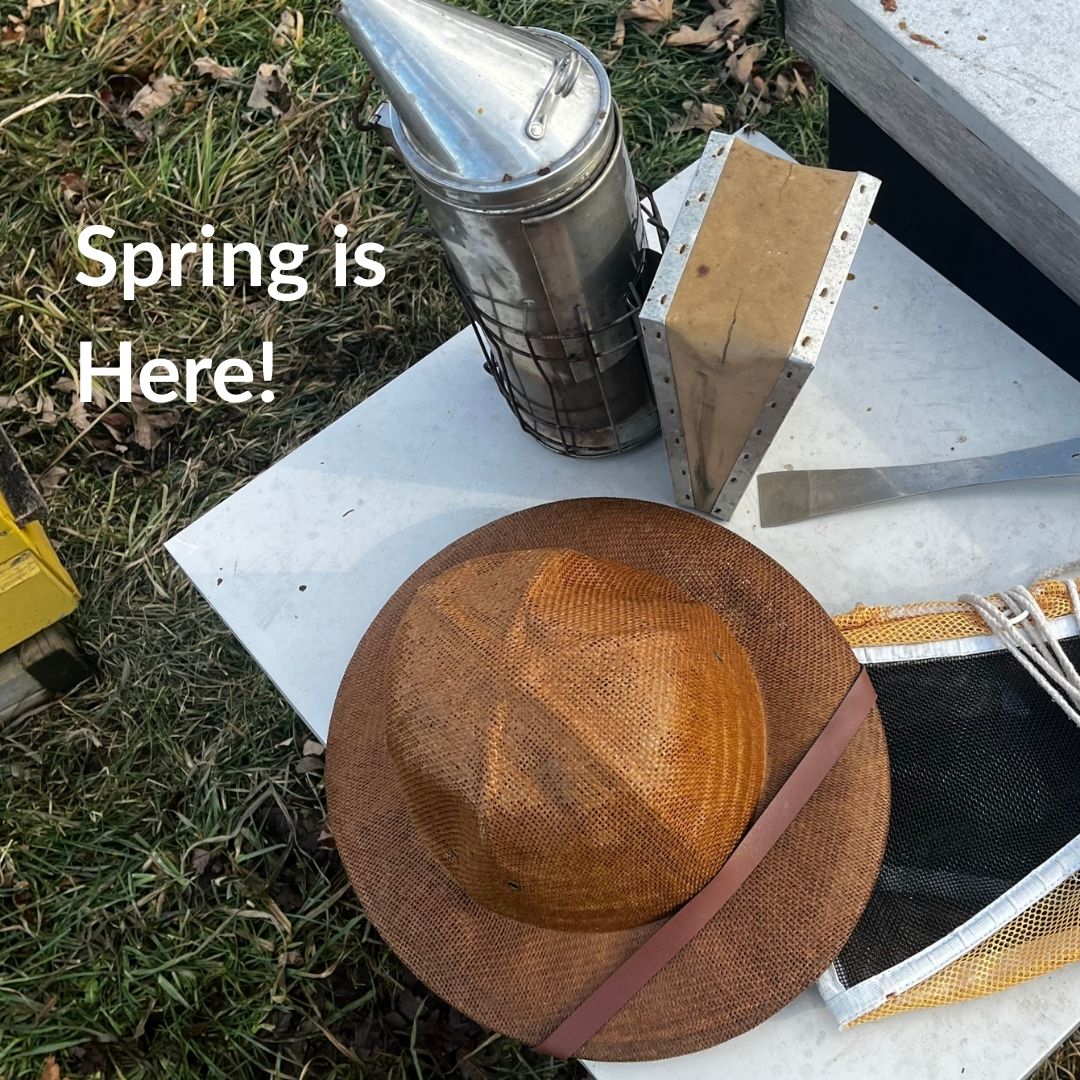 Your Spring Beekeeping Timeline: What To Do Now?