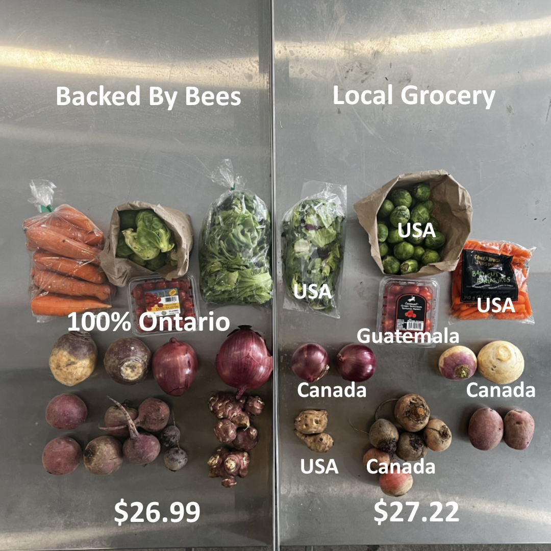 Local vs Grocery Store: Boxed by Bees January Bundle Comparison