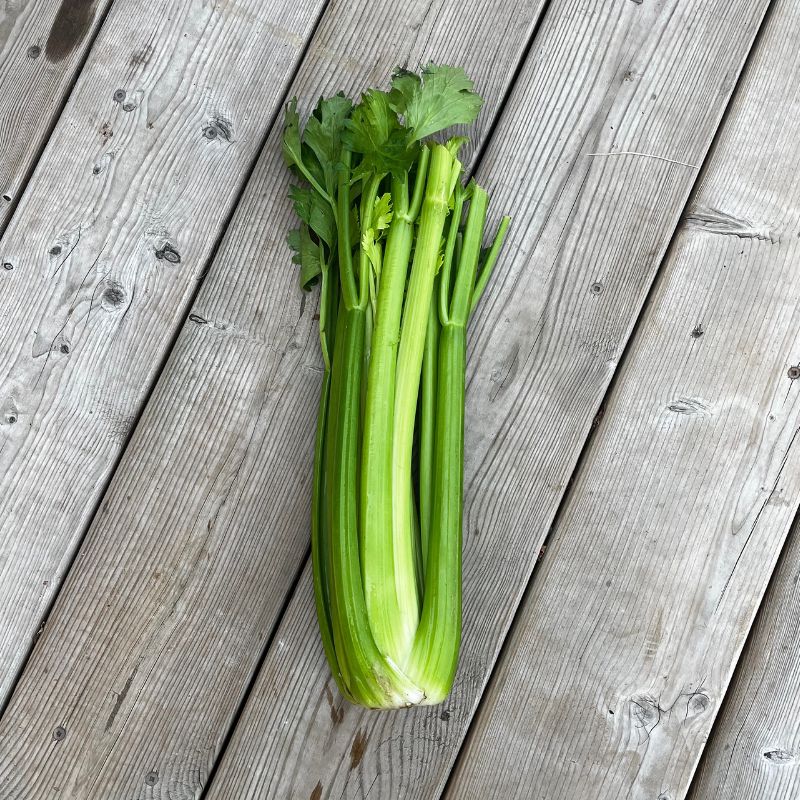 Celery ... good for more than its water content!