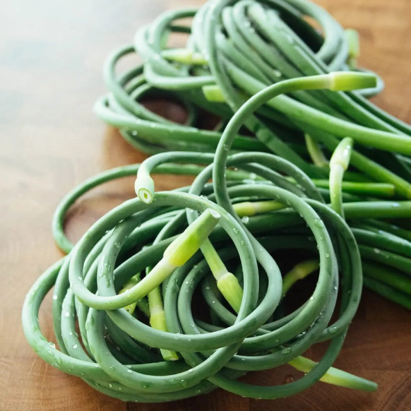 Garlic Scapes -  The Late Spring or Early Summer Garlic