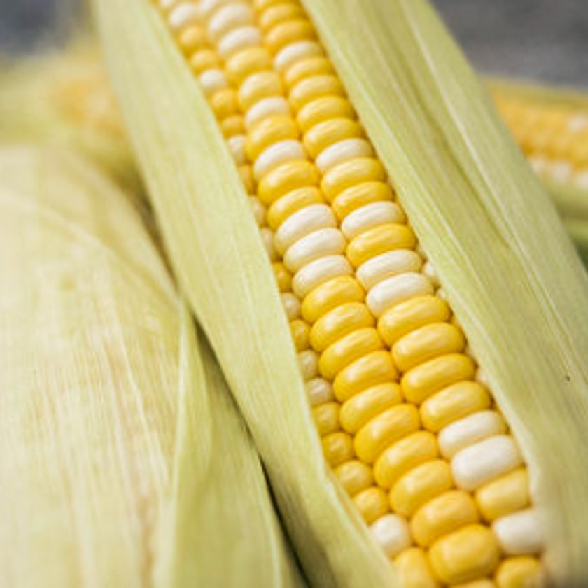 Sweet Corn… a summer favourite!
