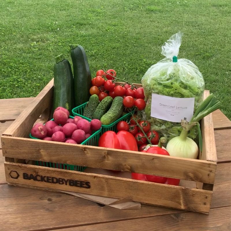 Colourful and Flavourful July Recipes!