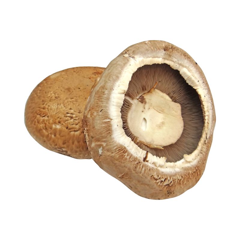 Portobello Mushrooms!