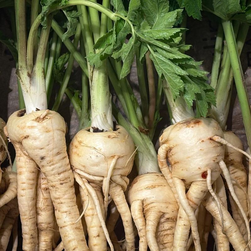 Parsnips!