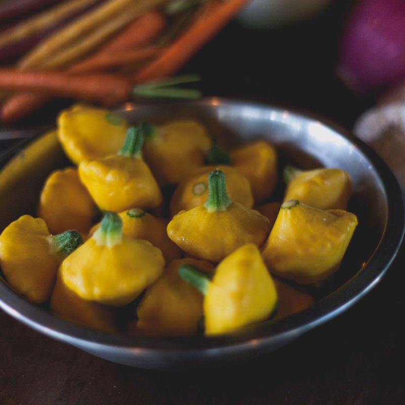 Patty Pan Squash - a gourmet variety!
