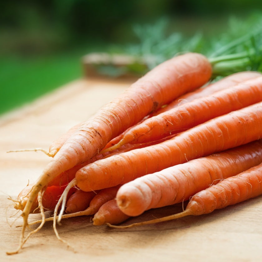 Carrots - The Crunchy Powerfood