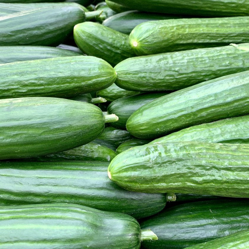 English Cucumber