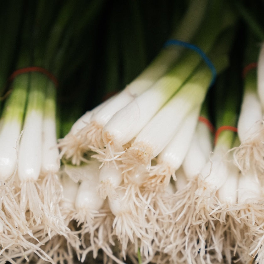 Leeks - A Highly Underrated Vegetable
