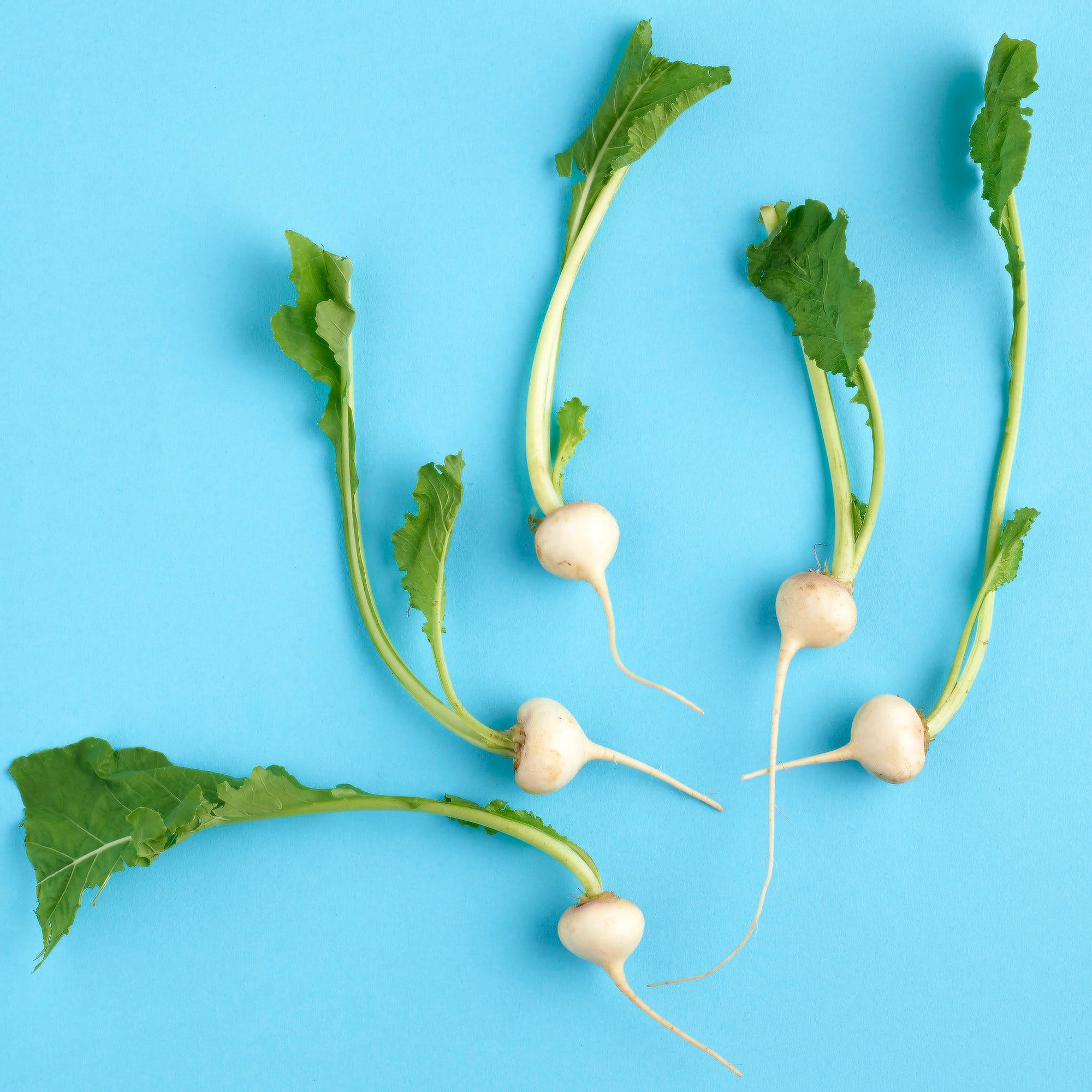 White Turnips - it's not a radish!