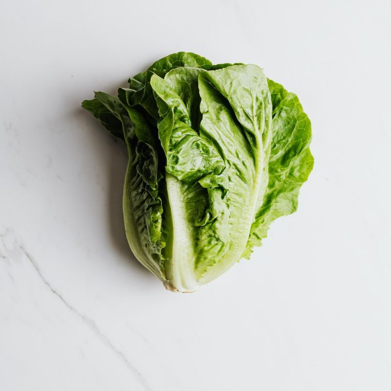 Romaine Lettuce - it's not just crunchy water!