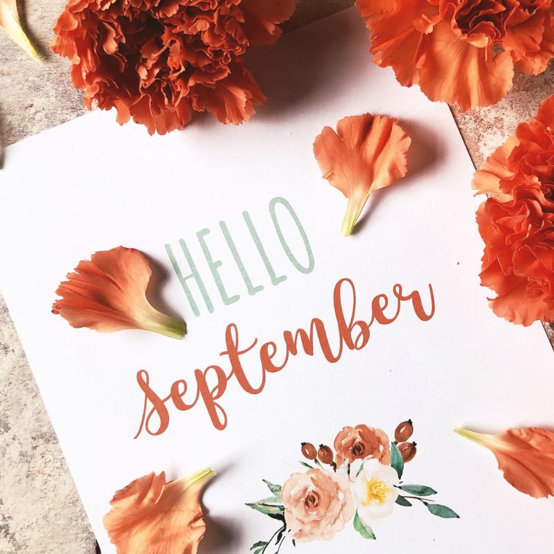 Easy Weeknight Meals