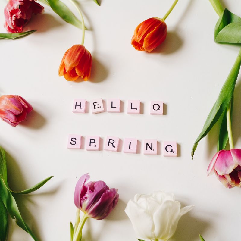 Kicking off Spring with Local Vegetables!