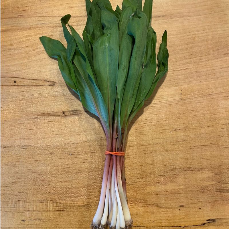 Wild Leeks - a sure sign of Spring!