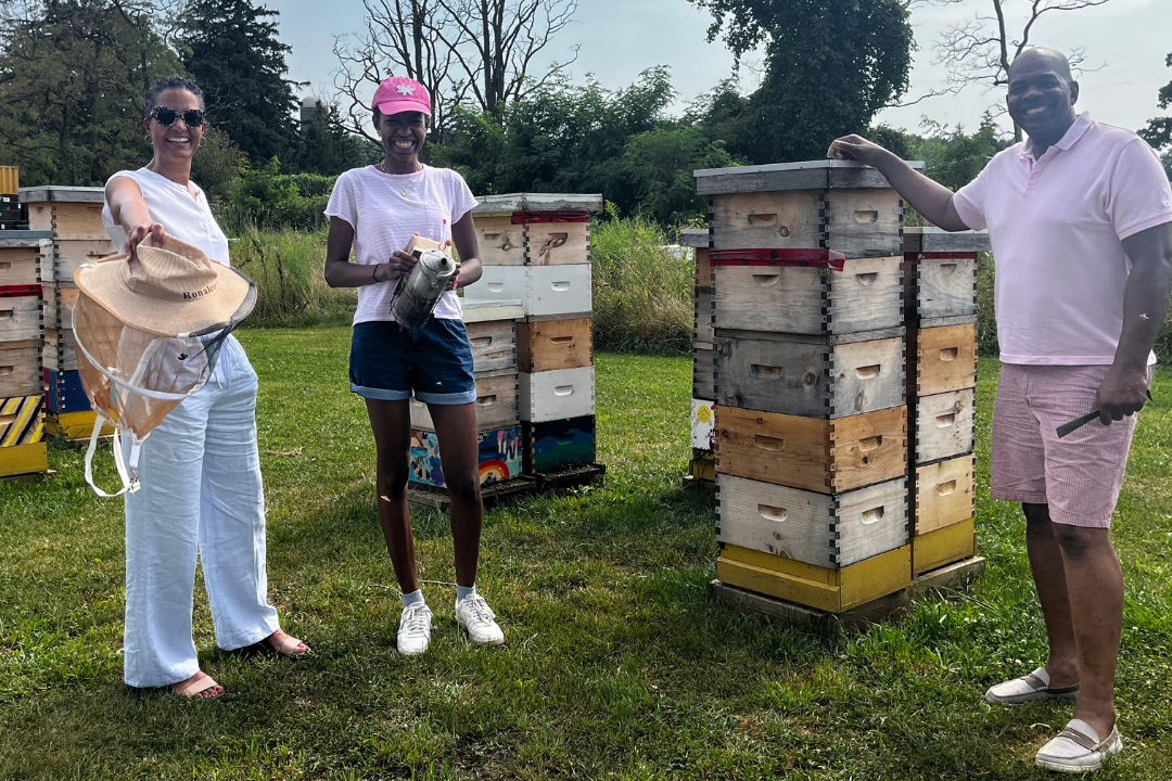 Three people standing near beehives in an outdoor setting
