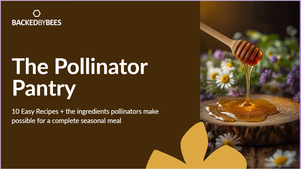 Promotional graphic for 'The Pollinator Pantry' with honey being drizzled onto a wooden surface, surrounded by flowers.