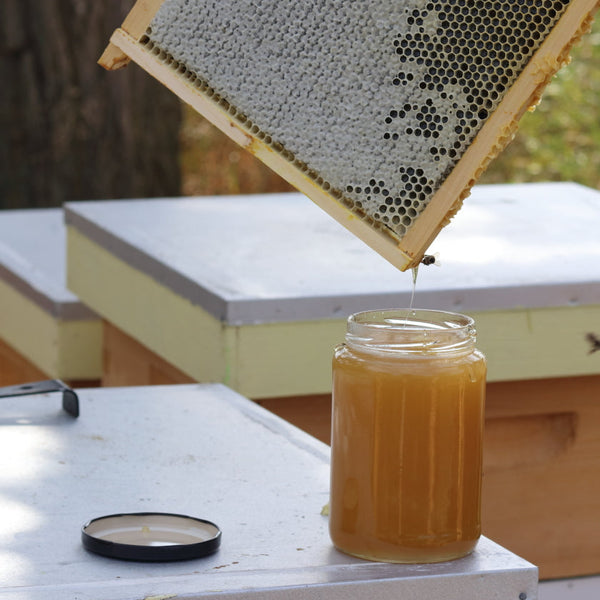 Raw Honey is Back — Straight from the Hive!