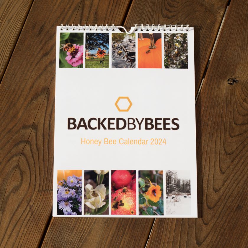 2024 Honey Bee Calendar