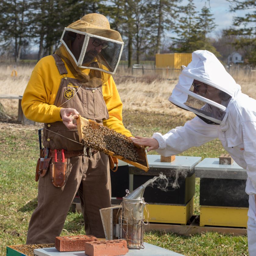 The Private Bee Encounter Experience