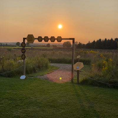 Sunset over a field with a wooden signpost and path