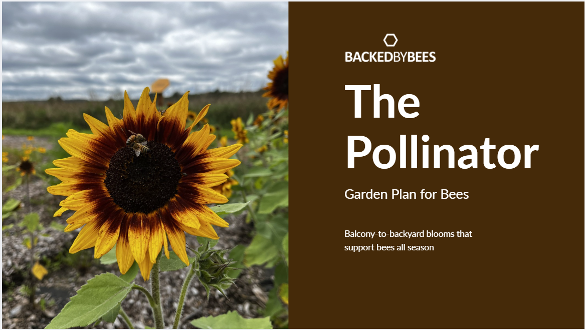 Pollinator Garden Plan (Free PDF) | Backed By Bees
