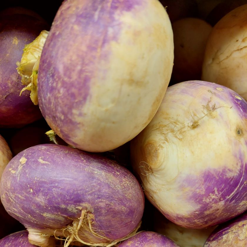 Bulk Ontario Rutabaga