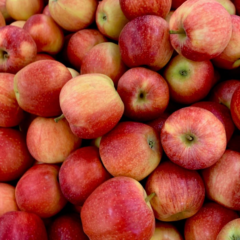 Bulk Ontario Apples