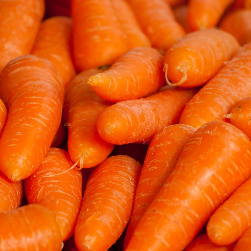 Bulk Ontario Nantes Carrots