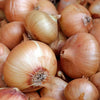 Bulk Ontario Onions
