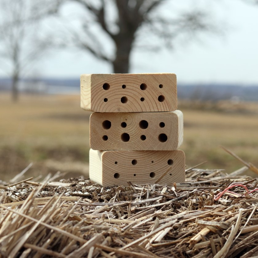 Solitary Bee Nest Cartridge Refill