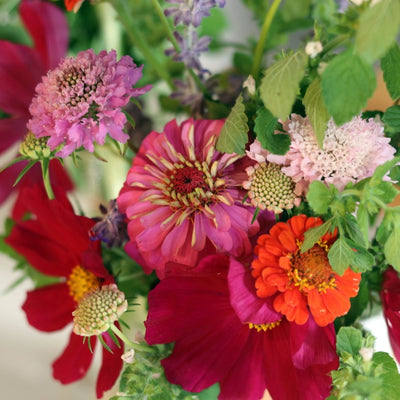 Seasonal Local Flowers | Bloomed By Bees