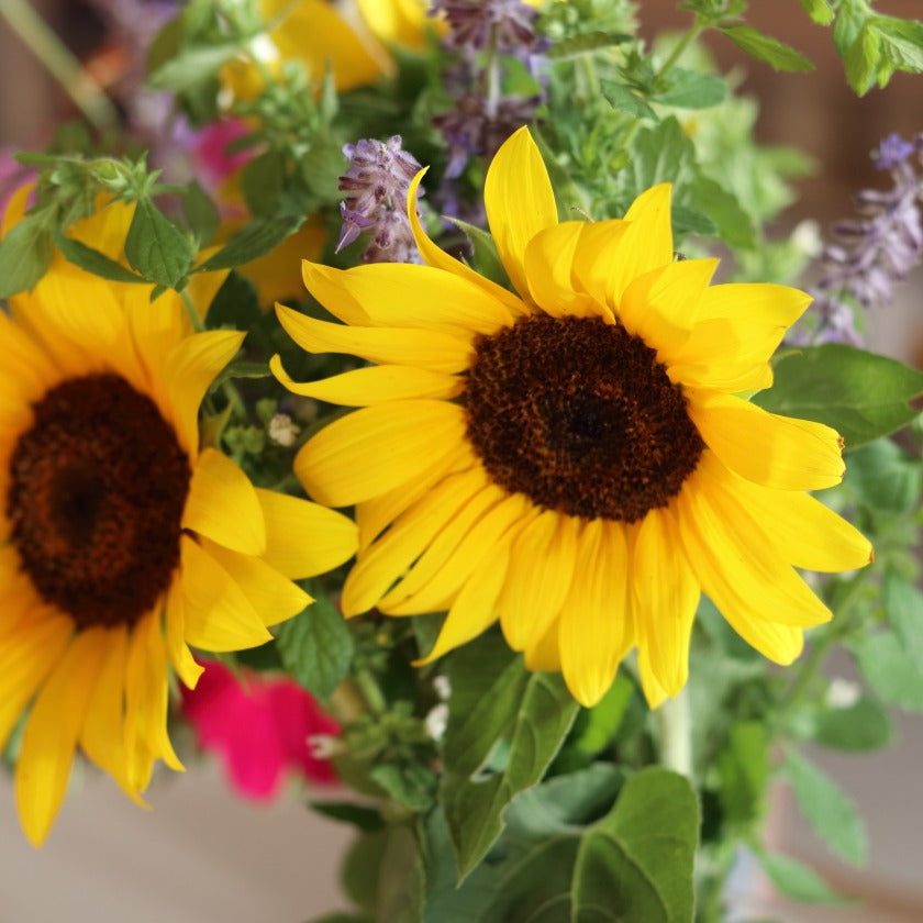 Seasonal Local Flowers | Bloomed By Bees
