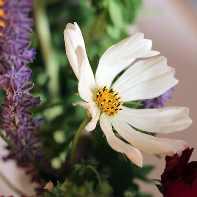 Seasonal Local Flowers | Bloomed By Bees