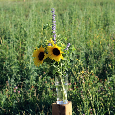 Seasonal Local Flowers | Bloomed By Bees